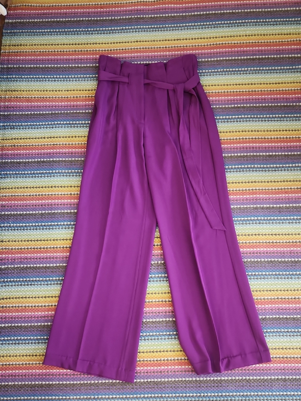 Express Paperbag High-Waist Wide Leg Purple Pants